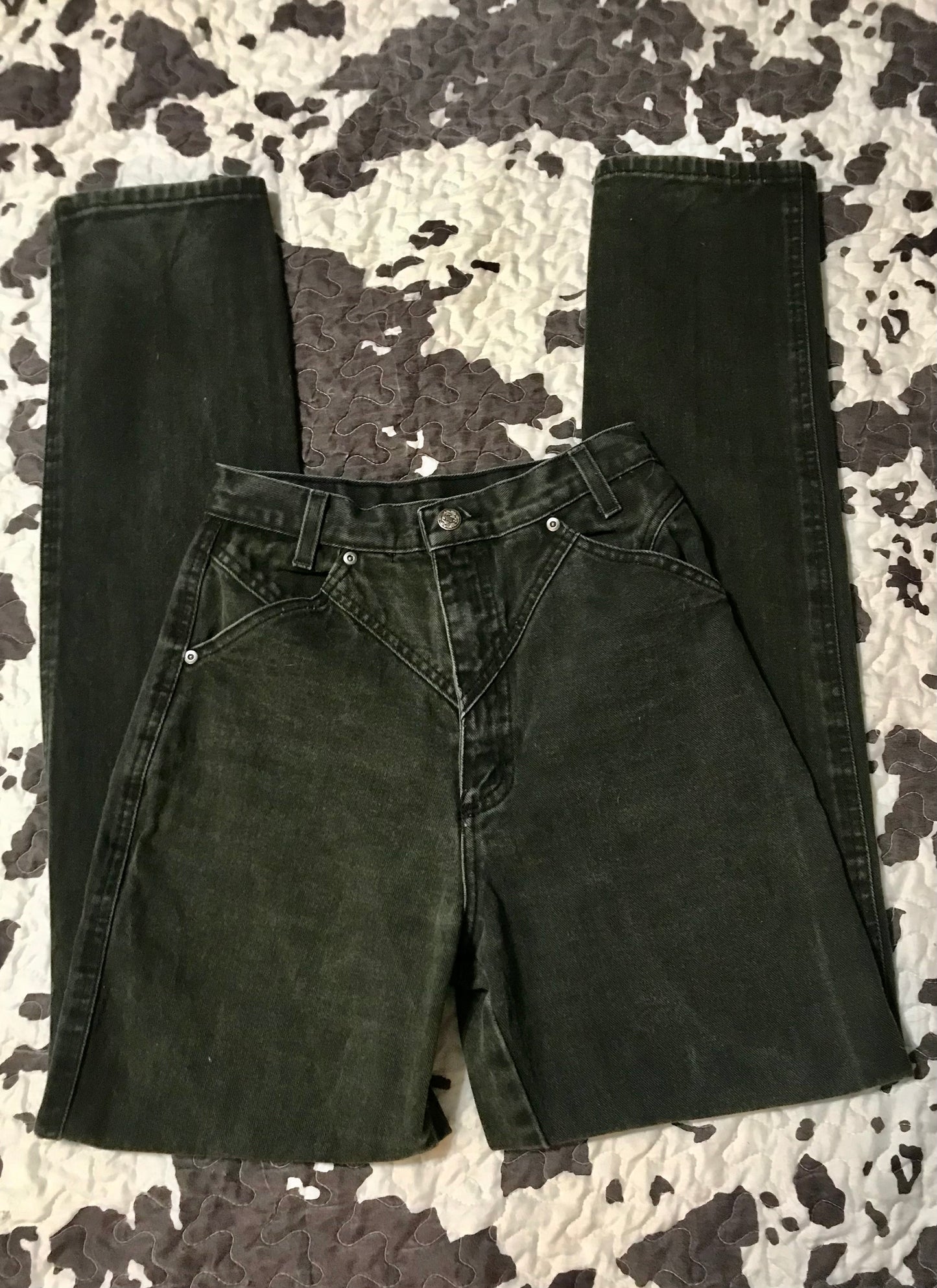 Desert Cactus Jeans (24.5 x 35.5)